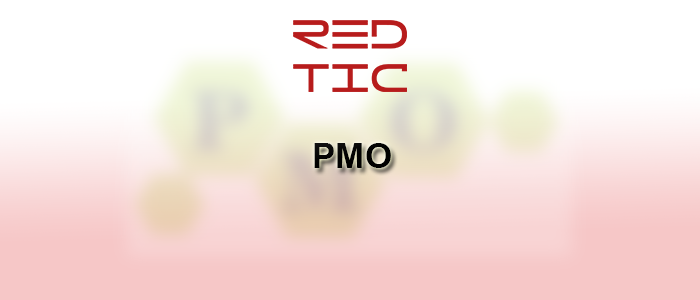You are currently viewing PROJECT MANAGEMENT OFFICIER (PMO)