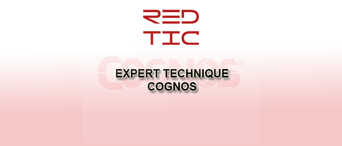 You are currently viewing EXPERT TECHNIQUE COGNOS