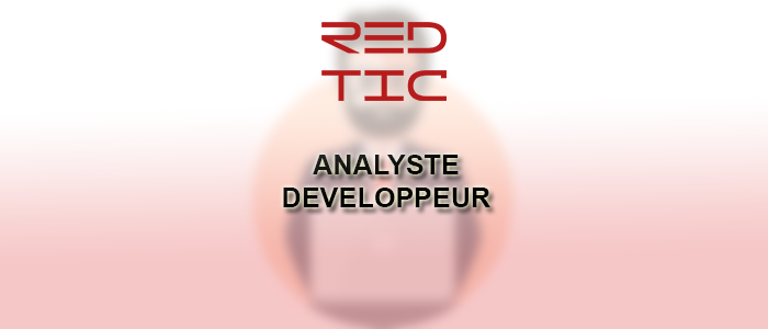 You are currently viewing ANALYSTE DEVELOPPEUR