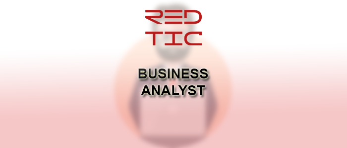You are currently viewing BUSINESS ANALYST